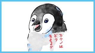 [ お知らせ ] まいにちポケマネ1周年！～カヤノはどう生きるか～ [ 記念雑談 ]