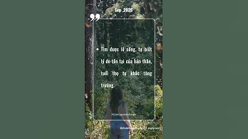 #173 Triết Lý Giáo Dục Tận Gốc #thauhieunoitamkientaoanvui #baihoccuocsong #wit #cauchuyennoitam