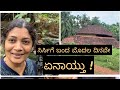 Todays vlog  sirsi  kannada vlogs with pratibha