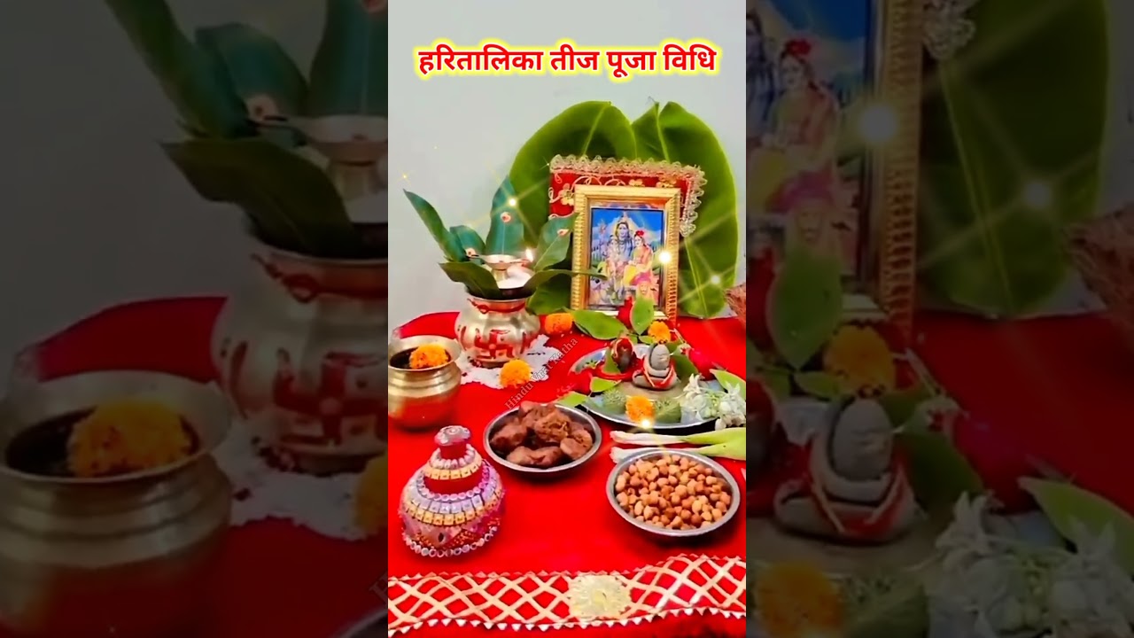 How To Learn PHP SQL DB Practicaly Fastest - YouTube Auto PHP Script