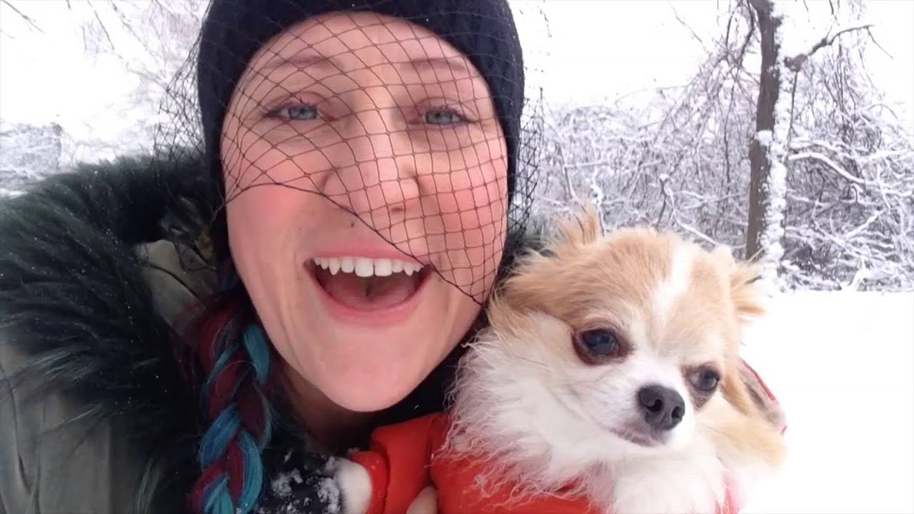 How to choose a dog snowsuit and boots