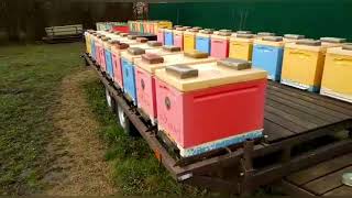 Обзор пчелоприцепов и крепежа Ульёв#пчеловодство#пасека#пчёлы#изоляцияматок#изолятор#малыхин#весна.
