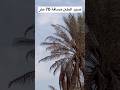 صيد الطبن في مسافة 70 متر اكسبلور