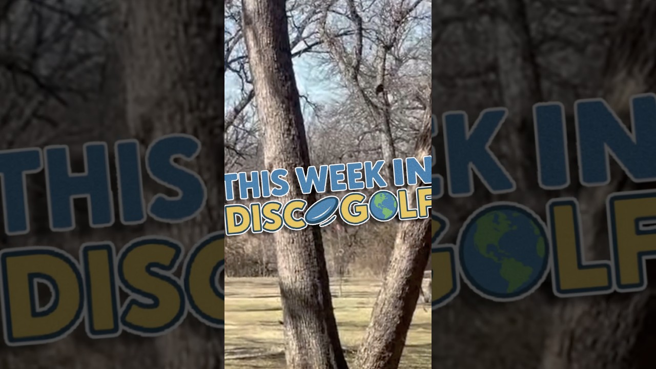 Сеппо покидает Prodigy, студенческий диск-гольф становится интересным, стартует турнир Memorial и...