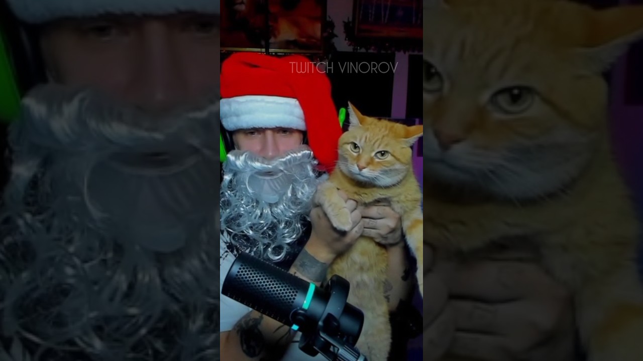 КИСКА ИРИСКА 😸😸😸 #твич #стрим #кошка #общение #онлайн #twitch #stream #chatting #cat #live #gamer