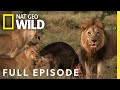 Mother of lions full episode  savage kingdom