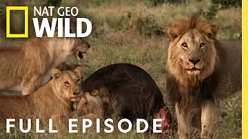 Mother of Lions (Full Episode) | Savage Kingdom