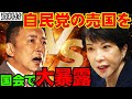 山本太郎が自民党の売国行為を国会で大暴露