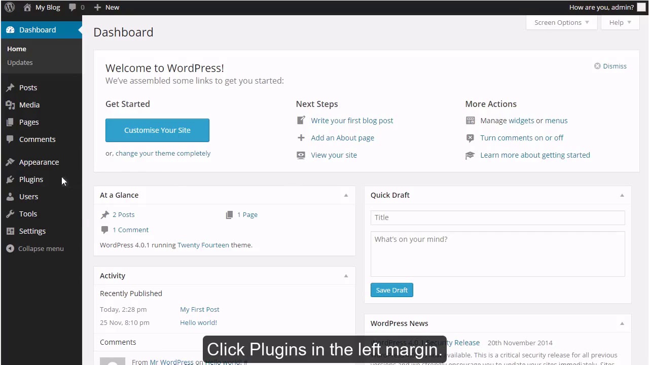 How to manage plugins in WordPress?