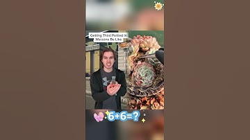 #USA #American Getting Third Partied in Warzone Be Like...