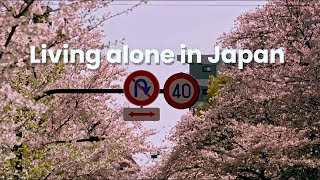 Cherry Blossoms Japan｜living alone in tokyo as a foreigner