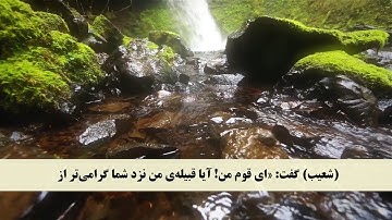جز 12 (  سوره هود از آیه 89 تا 97 ) با ترجمه فارسی صوتی و تصویری