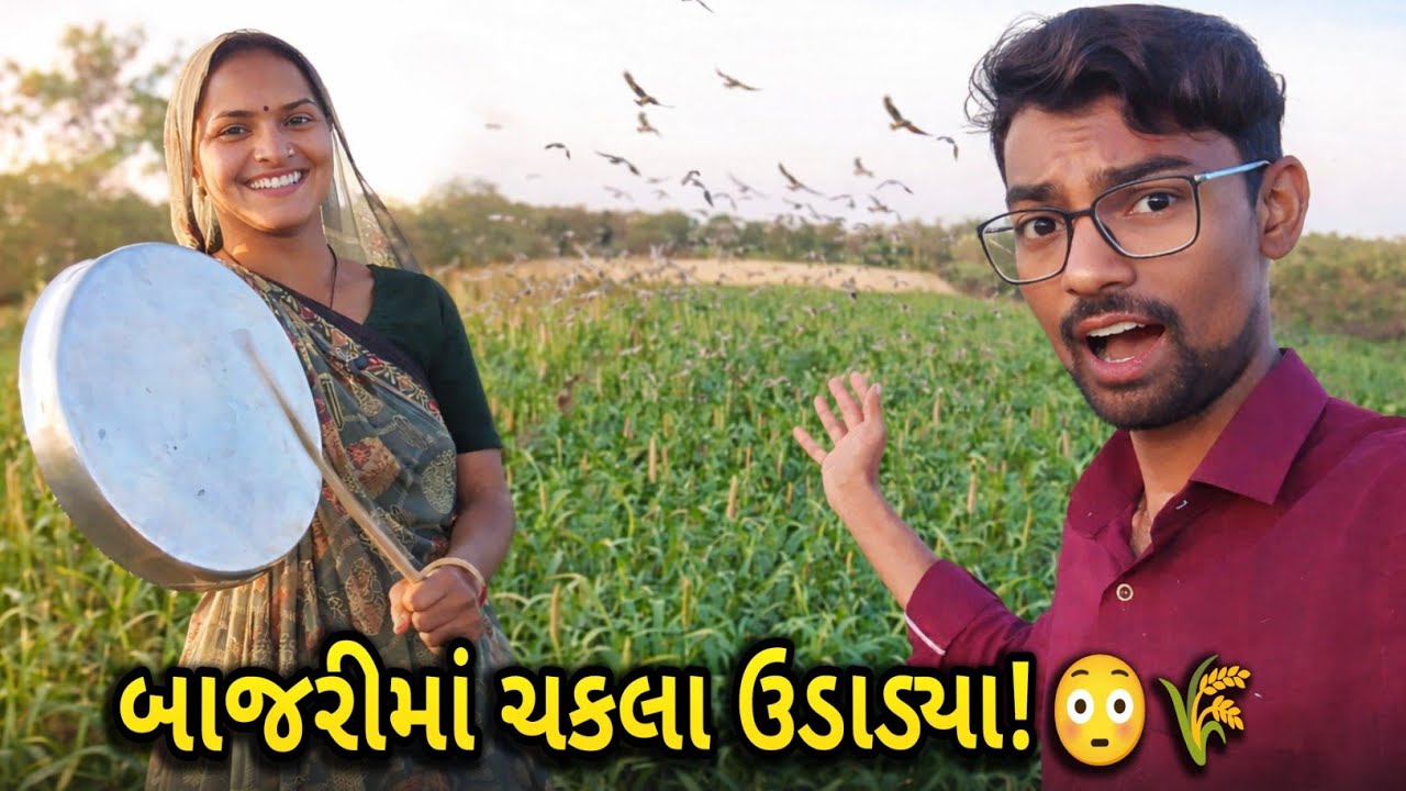 ખેતરમાં ચકલા એટલા વધ્યા કે આખું પરિવાર દોડી આવ્યું 😳🌾 | Real Village Life | TheDilipVlogs