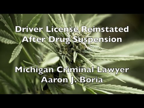 Drivers License Suspended Drug Charges Michigan