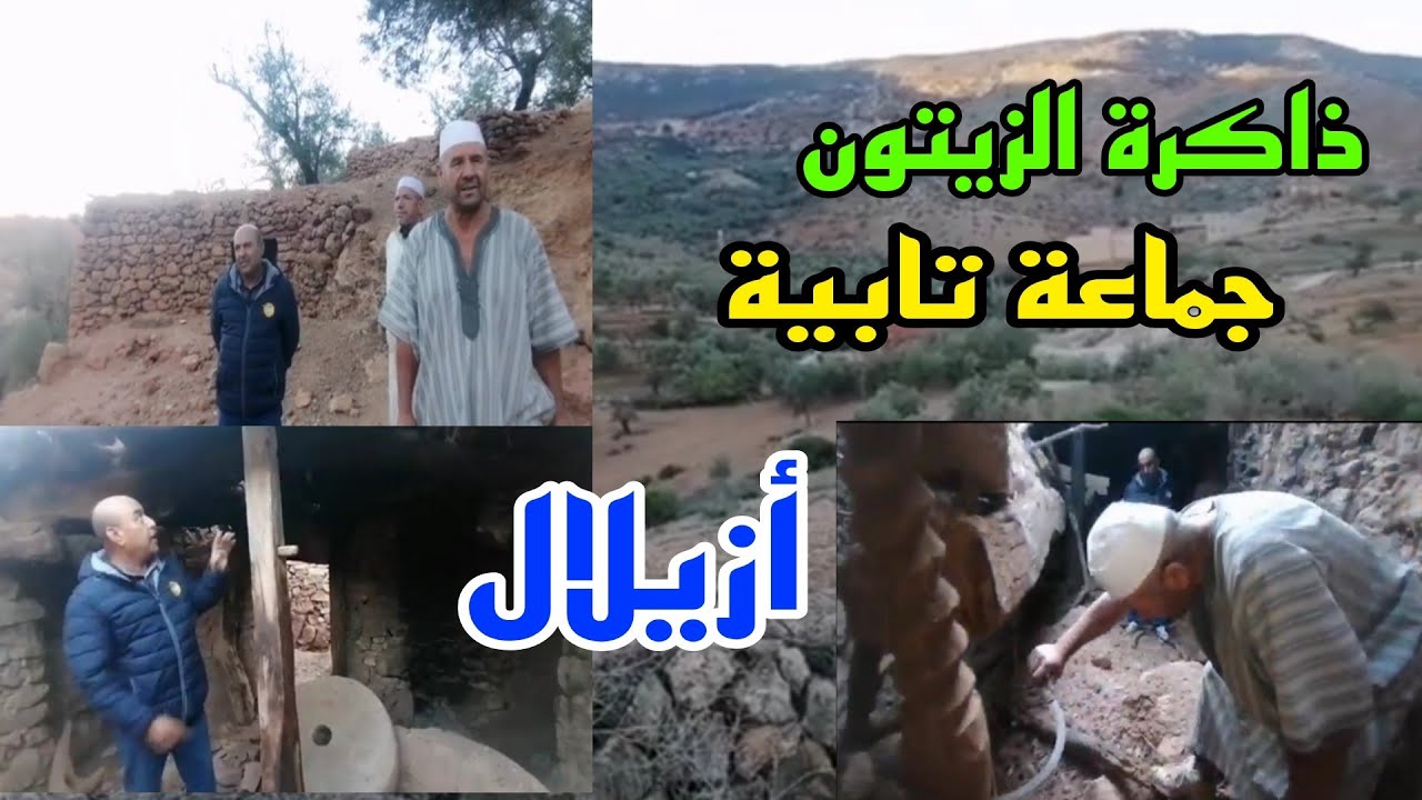 ذاكرة الزيتون بجماعة تابية #أزيلال#