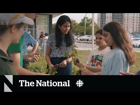 Program Aims To Improve Newcomer Kids Health