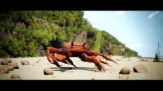 Танцующий Краб  [Вставка Для Видео Монтажа] Crab Rave