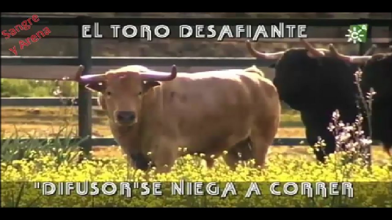 El Toro Desafiante, 