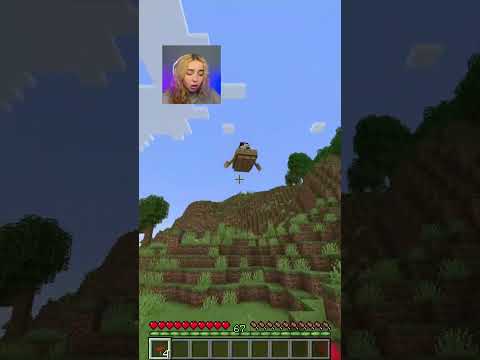 Memories Fade to remember everyone😳🤯#minecraft #trend