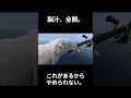 脳汁、全開のヒット。#fishing #shorts #bluefintuna #extremefishing#adventure #bigcatch#smallboat #クロマグロ #釣り