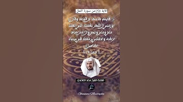 الآية (19)من سورة النمل... القارئ الشيخ سعد الغامدي.