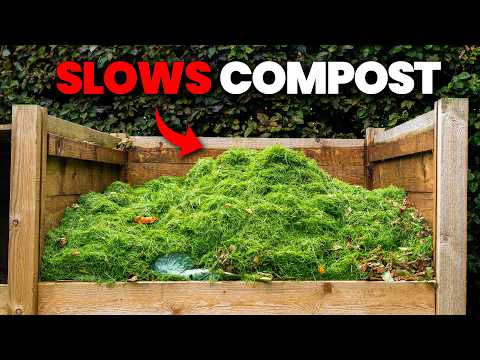 Why Your Compost Is Taking FOREVER