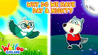 Why Do We Have Day And Night? Wolfoo Explore - Fun Science For Kids Educational Videos