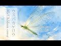 【ウスバカゲロウ】Mr.Children cover