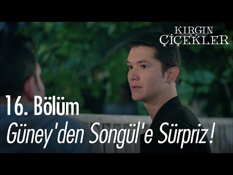 Güney'den Songül'e sürpriz! - Kırgın Çiçekler 16. Bölüm