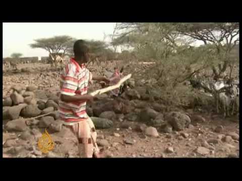 بدو جيبوتي يبحثون عن حياة أفضل - 25 يوليو 2009