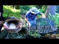 Unbelievable Net Fishing in River and than Cooking Fish Near River - Fishing with a cast net