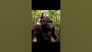 not the huzz #ai #memes #viral #funny #gorilla