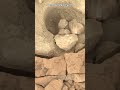 Perseverance Rover Sol 1555  | Mars New 4k Video | Mars 4k Video | Mars In 4k | Mars #shorts