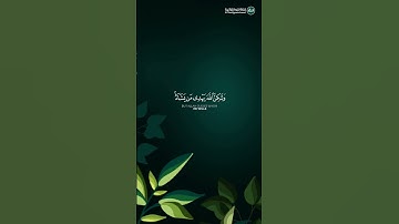 إِنَّكَ لَا تَهْدِي مَنْ أَحْبَبْتَ | ماتيسر من سُورَةُ القَصَصِ | القارئ ياسر الدوسري