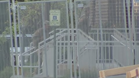 Federal judge temporarily blocks National Guard deployment in Illinois