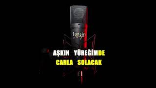 Devran Çağlar - Hep Seveceğim / Karaoke / Md Altyapı / Cover / Lyrics / HQ