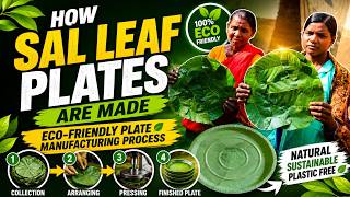 How Sal Leaf Plates Are Made | Eco-Friendly Plate Manufacturing Process