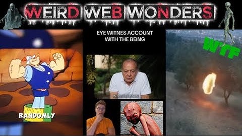 weird web wonders vol 26