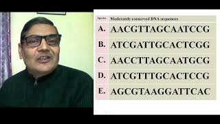 Evolutionary Tree (based on DNA Homology)