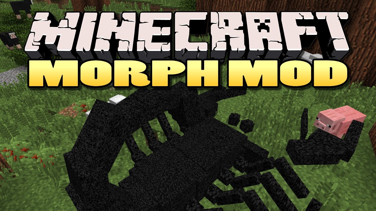 Minecraft: Morph Mod | Become any mob! - YouTube