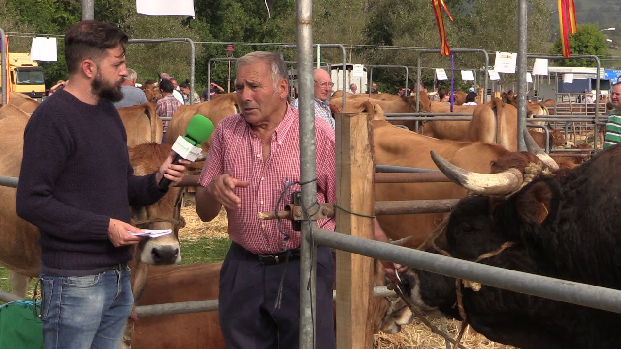 Entrevista Alfonso Cueto / El Campo de Asturias
