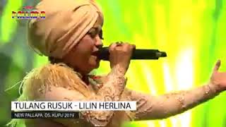 Lilin herlina tulang rusuk
