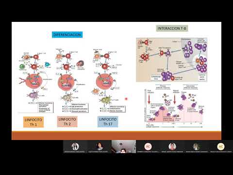 Vídeo: Respuesta Inmune Inducida Por La Señal De Peligro Asociada Al Metabolismo Y Diferenciación De Monocitos CD40 + Activada Por El Punto De Control Inmunitario Inverso