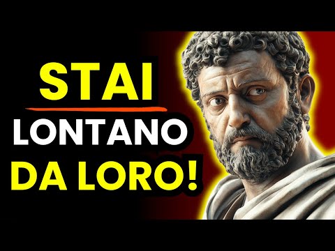 6 Tipi di