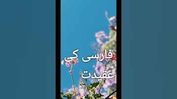 The Unbreakable Bond: Hazrat Abu Bakr, Hazrat Bilal, and Hazrat Ammar’s Love for Prophet Muhammad