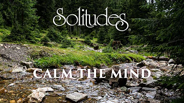 Dan Gibson’s Solitudes - Calm the Mind | Calm the Mind