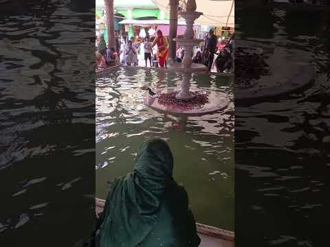 ajmer sharif dargah