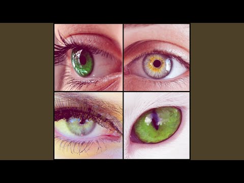Eyes of Jade