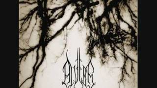 Watch Alverg Syvfold video