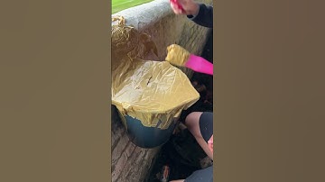 Thumbnail of getting the drums ready #ultras #viral